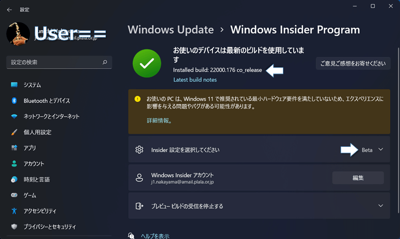 Windows11 Build 22000.176