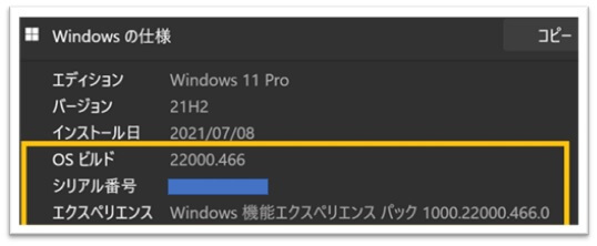 Windows 11