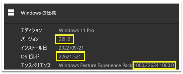 Windows11_22H2
