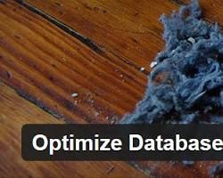 Optimize Database after Deleting Revisions