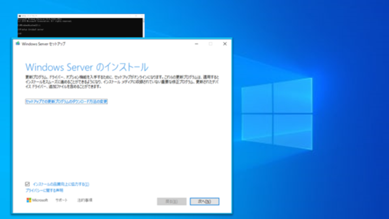 Windows 11