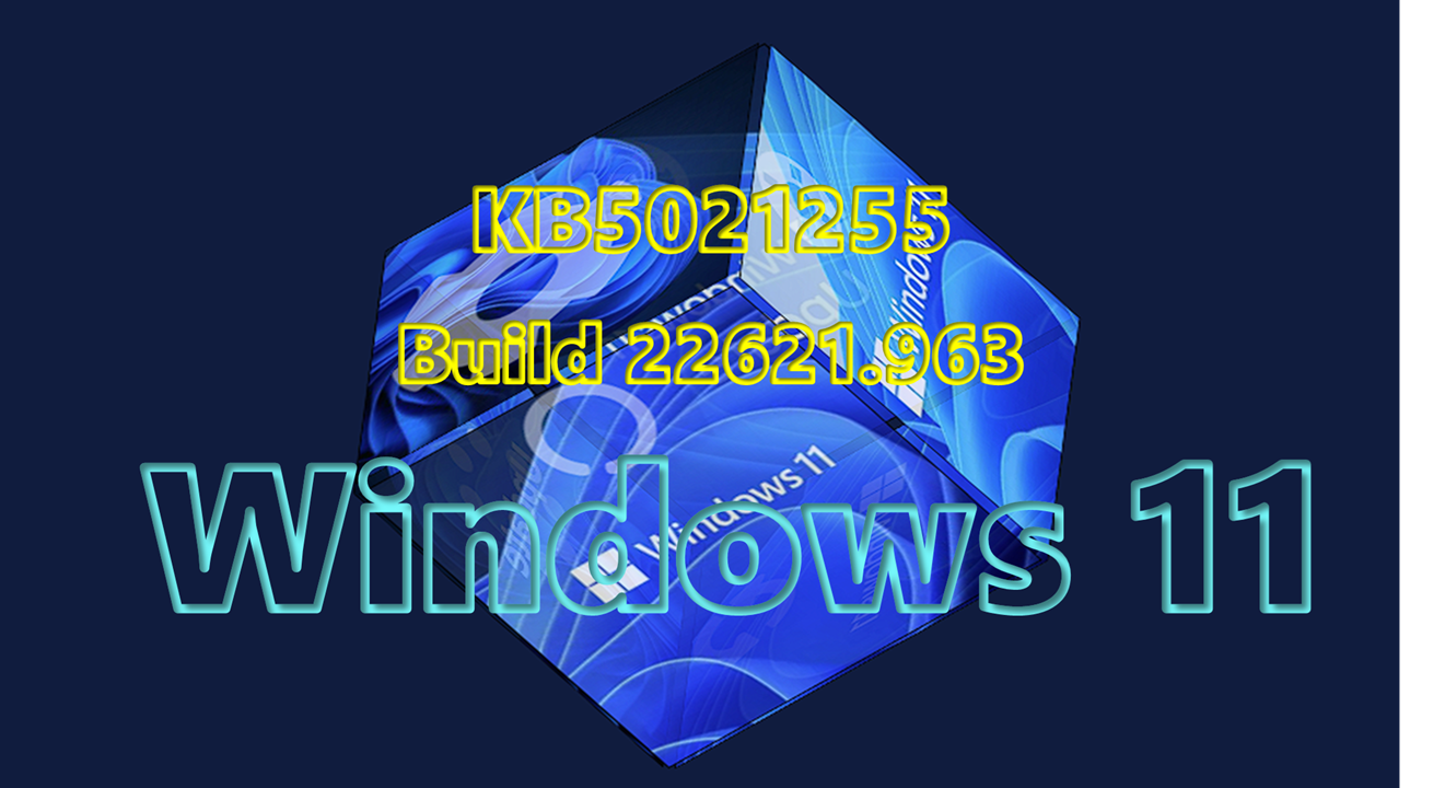 Windows 11