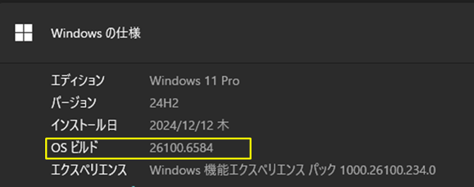 Windows 11