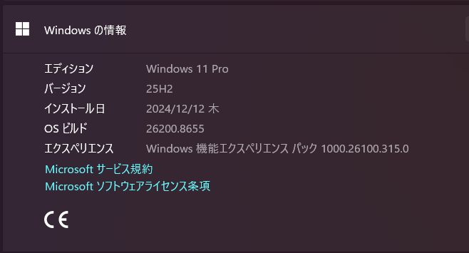 Windows 11